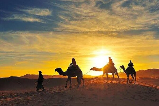Quad Bike & Camel Ride & Dinner Show In Agafay Desert - Price and Value: Is $30 a Good Deal from Marrakech?
