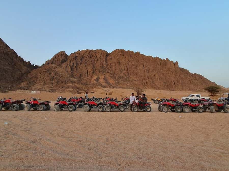 Quad Biking Tour in Sharm El Sheikh Desert - Quad Biking in Sharm El Sheikh Desert: what the experience actually feels like