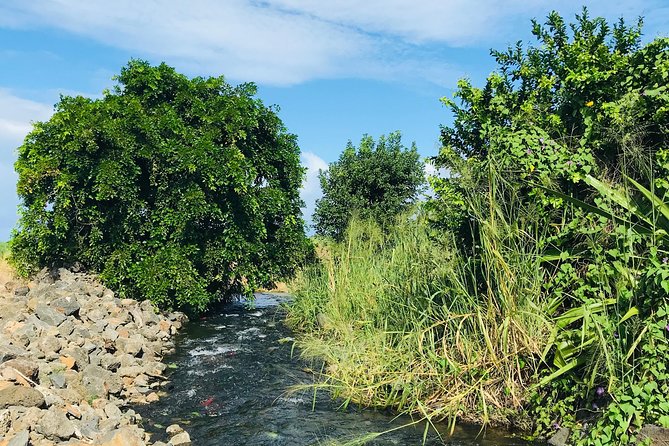 Quad Excursion South Mauritius 35km - The mid-route sights: Pointe Vacoas, Camarons Basin, and more