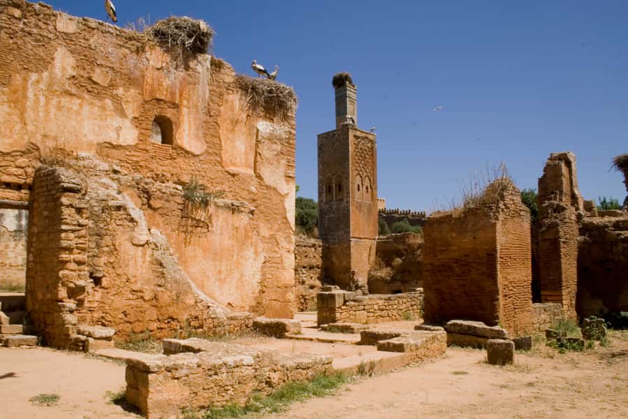 Rabat: Full-Day Trip from Casablanca - Chellah ruins and the river-adjacent break you actually need