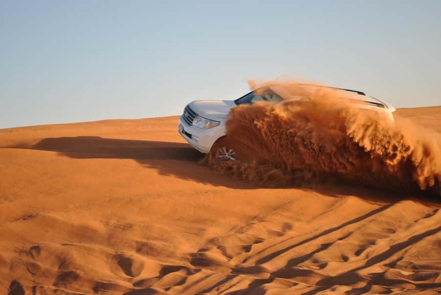 Ras Al Khaimah: Afternoon Desert Safari and BBQ Dinner - Camel farm stop: the quick, useful glimpse you might appreciate