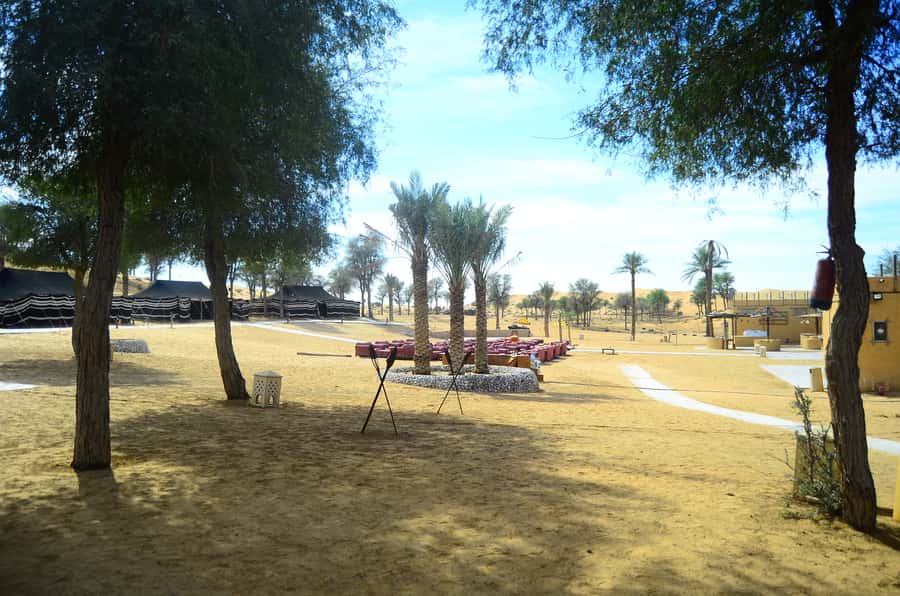 Ras Al Khaimah: Afternoon Desert Safari and BBQ Dinner - Shisha corner: what to expect from the water-pipe portion