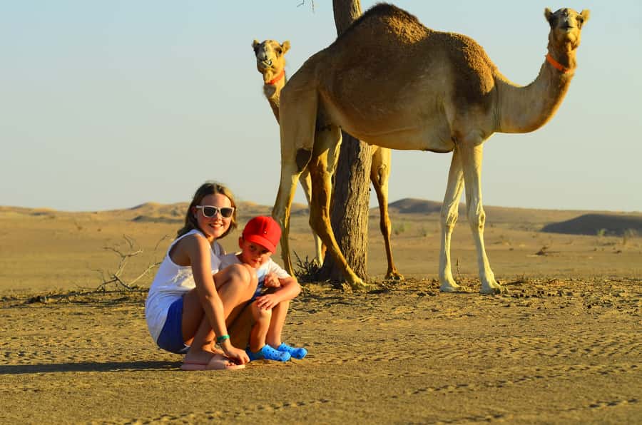 Ras Al Khaimah: Afternoon Desert Safari and BBQ Dinner - BBQ buffet dinner and the shows: belly dance, Tanoura, and the night sky