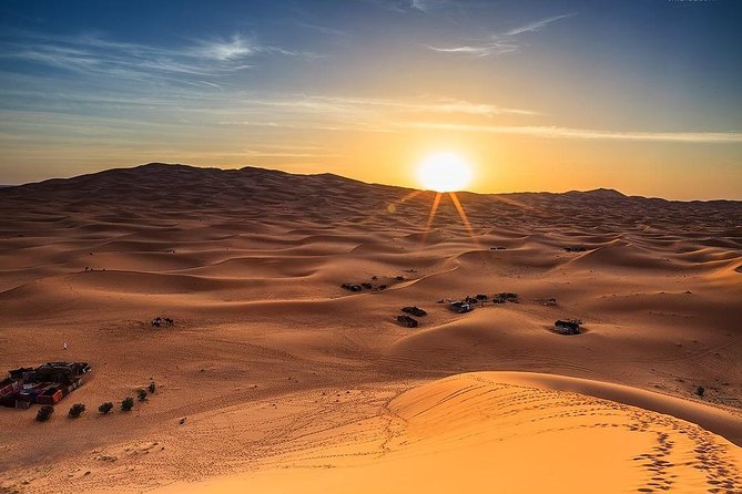 Red Dune Safari Adventure with BBQ Dinner Experience - Price and value: why this can feel like a bargain at $54.90