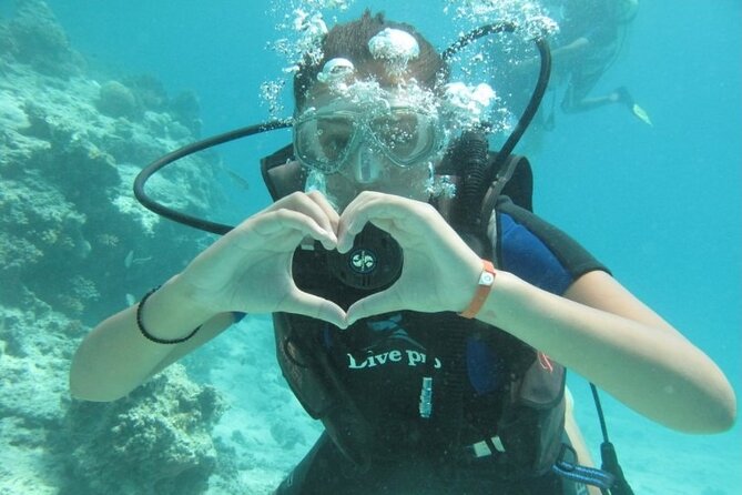 Red Sea Diving Trip from Hurghada: Beginner to Advanced Divers - Hurghada on the water: what this 7-hour scuba day really feels like