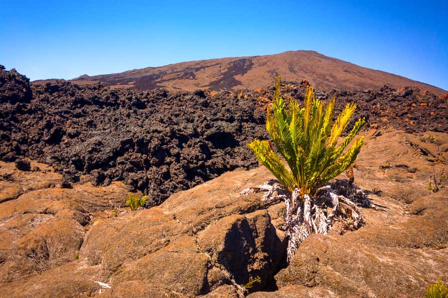 Réunion: Piton de la Fournaise Guided Volcano Hike - What to pack for a 6-hour Piton de la Fournaise hike