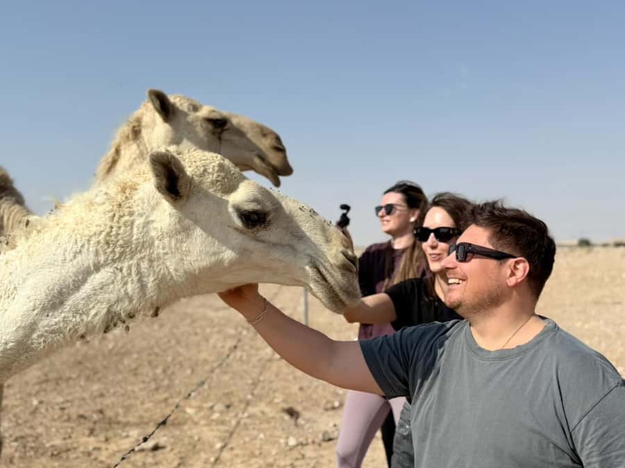 Riyadh: Edge Of The World, camels &Stargazing with 4x4 - Practical tips for a smoother Edge of the World day