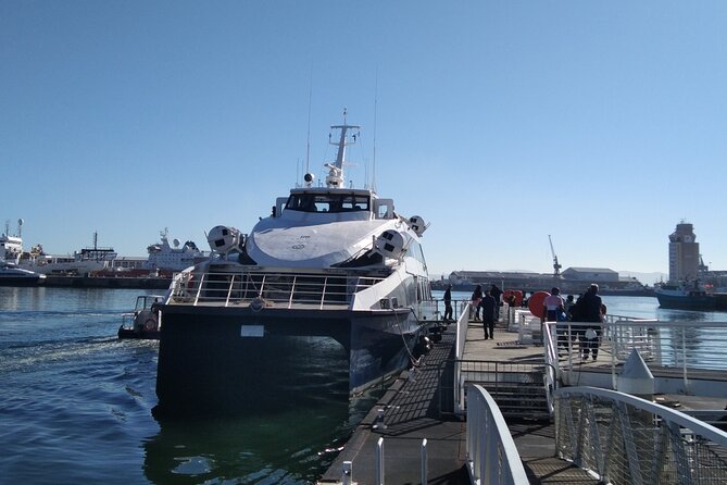 Robben Island Tour including Pick Up & Drop Off from Cape Town - Who This Tour Fits Best (And Who Might Want a Different Plan)