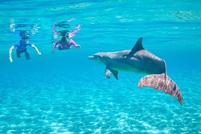 ROYAL Dolphin House & Water Sports Snorkeling Sea Trip - Hurghada - Key highlights worth your attention