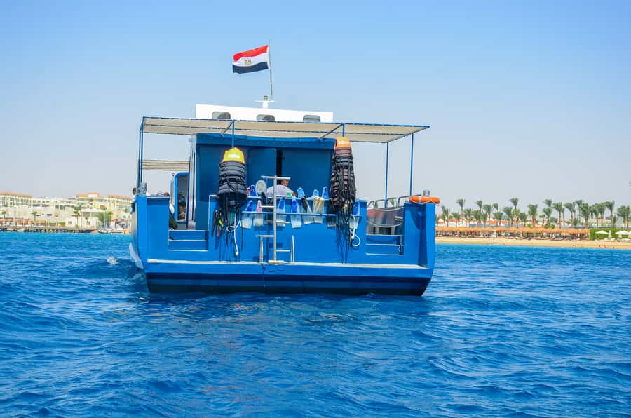 Safaga/Makadi Bay: Panorama Submarine with Snorkeling Tour - The Underwater Part: Panoramic Windows, Sea Lions, and Calm Reef Time