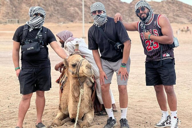 Safari 5 in 1 Quads, Camels, Show, Dinner & Star Gazing in Sharm El Sheikh - Quad, Camel, Dinner, Show, Stars: The Real Value of a 5-in-1 Plan