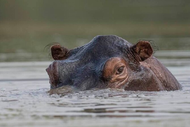 Safari Serengeti And Ngorongoro - Crossing the Highlands to Ngorongoro: crater morning beats imagination