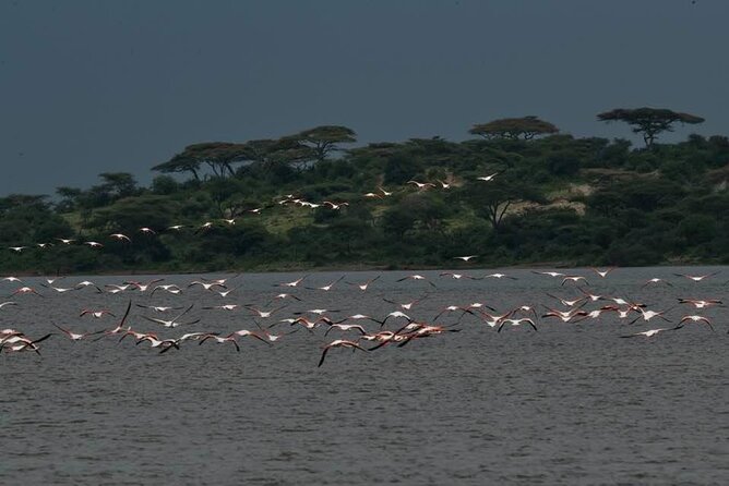 Safari Serengeti And Ngorongoro - What the “private” feel means on the ground