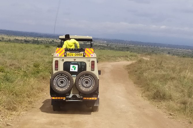 Safari Tour; Nairobi National Park - Guides and Group Size: Why the Van Matters as Much as the Park