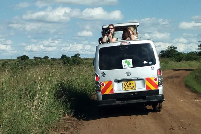 Safari Tour; Nairobi National Park - Airport Drop-Off and Tight Schedules: A Practical Kenya Day