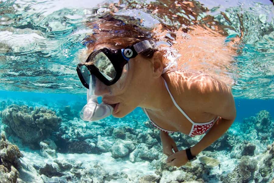 Santa Maria: Guided Snorkeling and Reef Tour - Reefs near Bolama wreck: fish you can actually watch