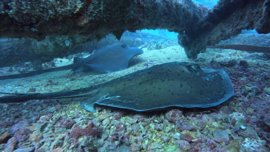 Santa Maria: Guided Snorkeling and Reef Tour - Timing: what a 2-hour tour really feels like in the water