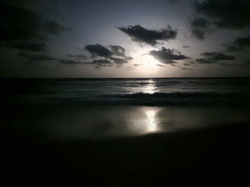 Santa Maria: Sea Turtle Watching Experience on Sal Island - Night Rules That Make This Tour Better Than a Typical Wildlife Stop