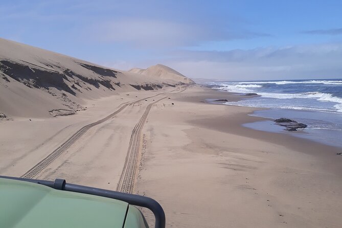 Scenic Sandwich Harbour Tour - The dune 4x4 ride: fun, bumpy, and worth planning for