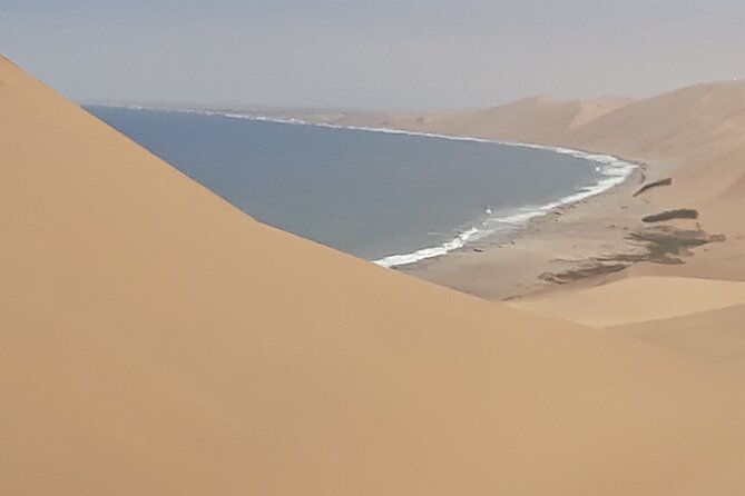 Scenic Sandwich Harbour Tour - Wildlife chances: jackals, ostriches, seals, and the birds you’ll watch for