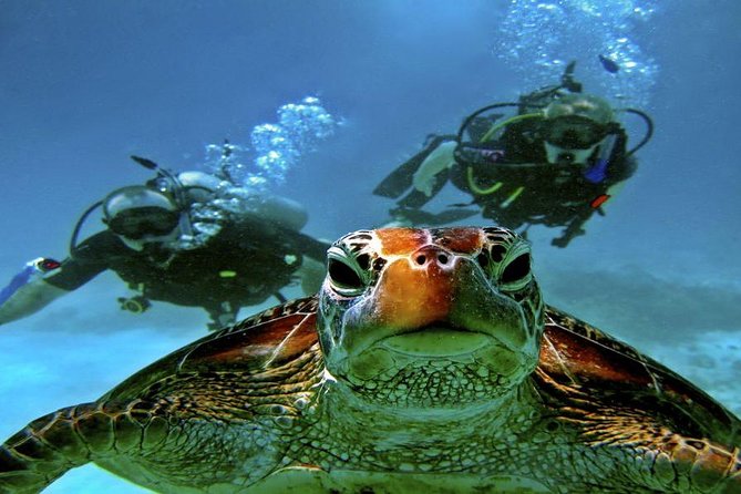 Scuba Diving Full Day Boat Trip for beginners With Lunch & Transfer – Hurghada - Lunch onboard: why this is more than just food