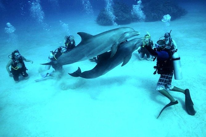 Scuba Diving Full Day Boat Trip for beginners With Lunch & Transfer – Hurghada - Gear, instructors, and the patience factor that matters