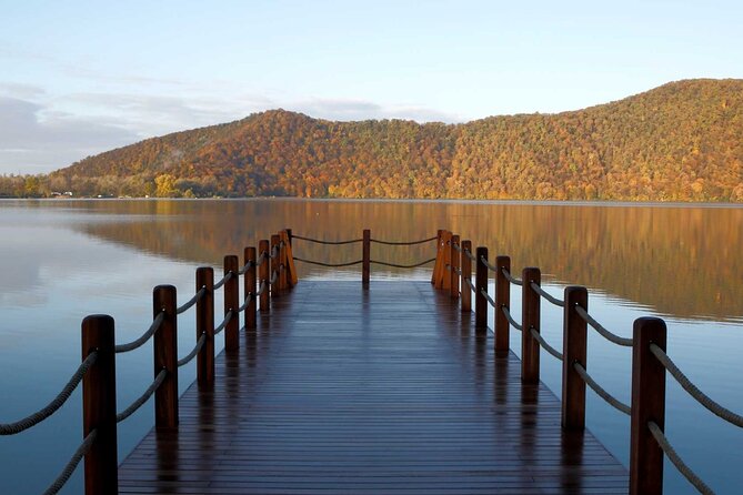 Shamakhi And Gabala Tour (All inclusive) - Goychay forest lunch: a break that keeps energy up
