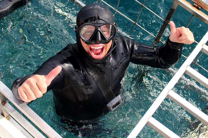 Shark Cage Diving and Viewing with transport from Cape Town - Great White House Breakfast: More Than Just Fuel