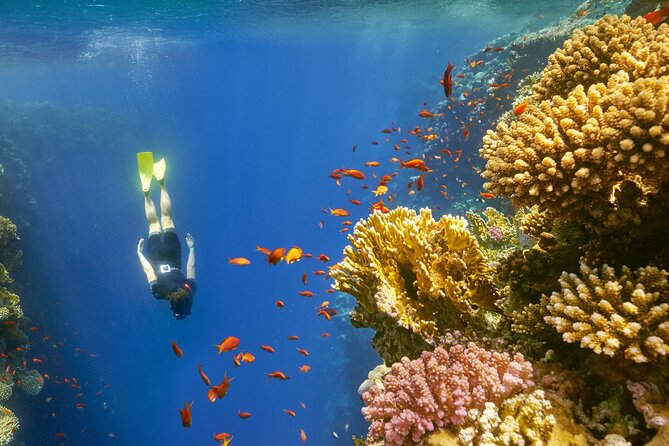 Sharm El Sheikh: Colored Canyon Jeep Tour with Blue Hole & Dahab - Lunch by the Sea: The Simple Meal That Makes a Long Day Work