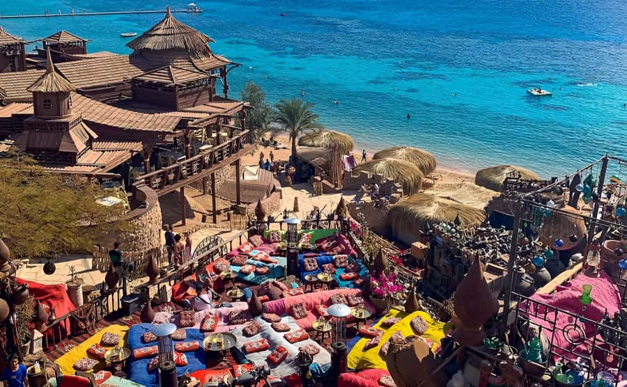 Sharm el Sheikh: Farsha Cafe & Soho Square Night Out Driver - Private Night Plan From Your Hotel to Farsha Cafe and Soho Square