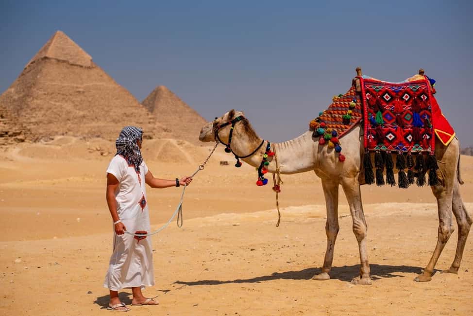 Sharm El-Sheikh: Full-Day Tour of Cairo and Pyramids by Bus - The Egyptian Museum on Tahrir Square: what you’ll actually want to see