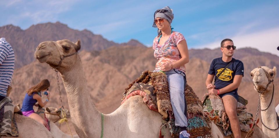 Sharm El Sheikh: Quad bike, Safari, Camel With Dinner & Show - Bedouin Village Stop: Chai, Culture, and Real Hospitality