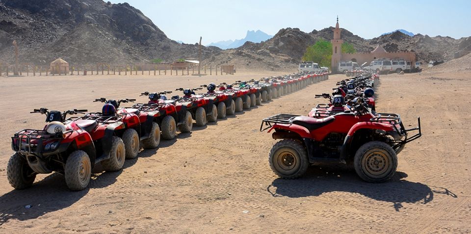 Sharm El Sheikh: Quad bike, Safari, Camel With Dinner & Show - Stargazing: When You’ll Actually See It
