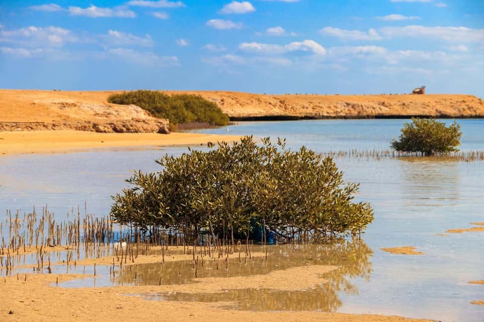 Sharm El-Sheikh: Ras Mohamed Half-Day Tour & Allah's Gate - Key highlights worth planning around
