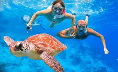 Sharm El Sheikh: Ras Mohamed & White Island Dive & Snorkel - Getting on board: transfers, timing, and what to do first