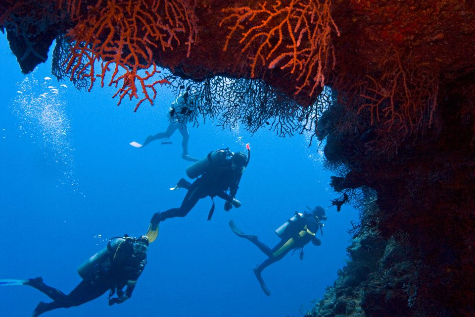 Sharm El-Sheikh: Ras Mohamed & White Island Snorkeling Trip - Hotel pickup, marina departure, and that first Red Sea look