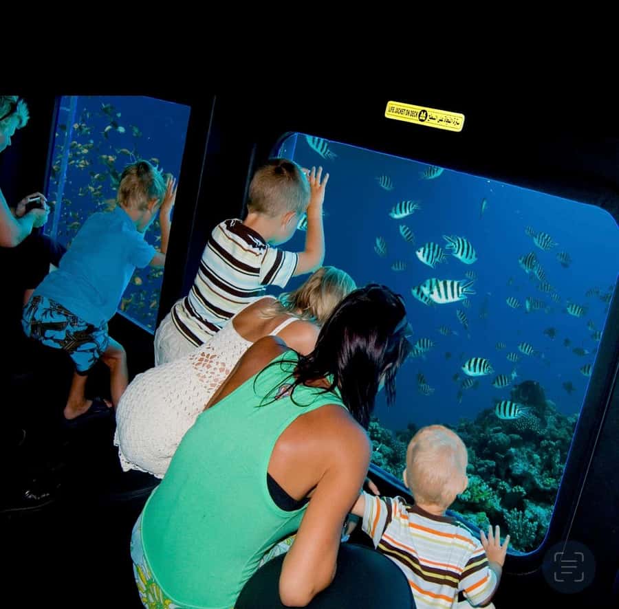 Sharm El-Sheikh: Seascope Submarine boat cruise with pickup - Reef viewing without snorkeling: who will enjoy it most
