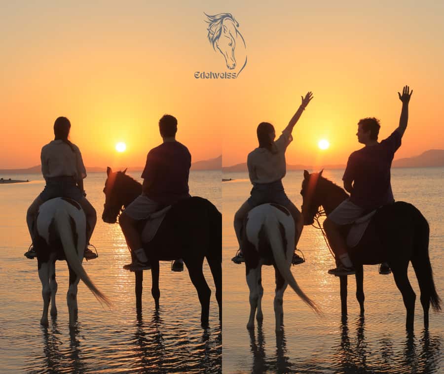 Sharm El Shiekh: Beach and City Desert Horse Riding Tour - Key highlights you’ll feel right away