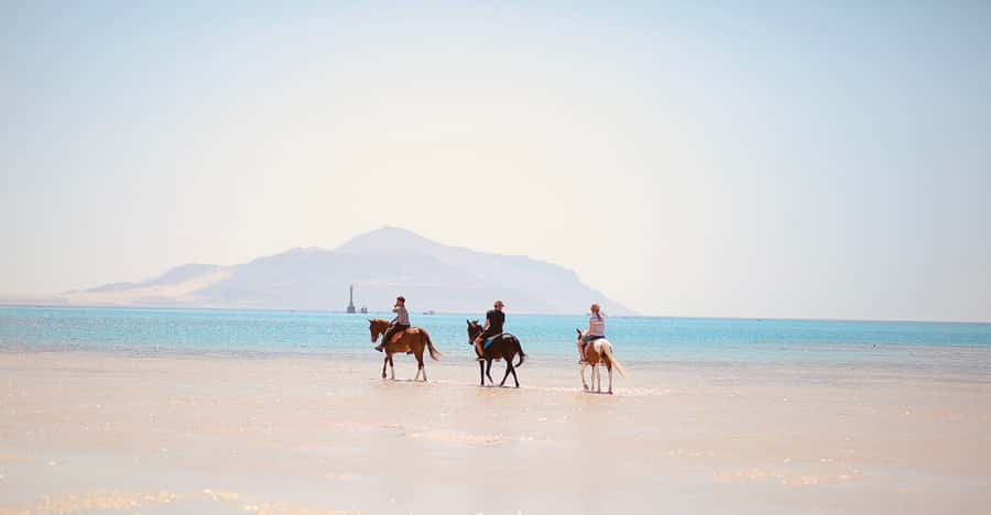 Sharm El Shiekh: Beach and City Desert Horse Riding Tour - What to Bring: Wet-Sand Reality, Passport Security, and Footwear