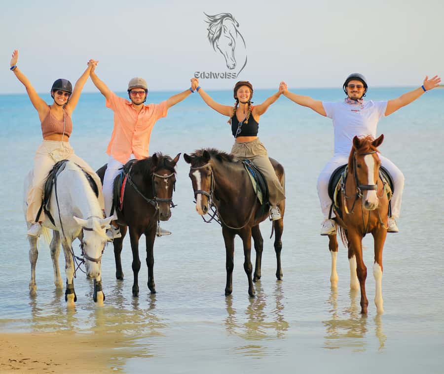 Sharm El Shiekh: Beach and City Desert Horse Riding Tour - Edelweiss Center: Helmets, Horse Matching, and Safety First
