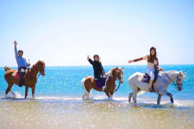Sharm El Shiekh: Beach and City Desert Horse Riding Tour - Sunrise, Morning, or Sunset: Pick the Right Light