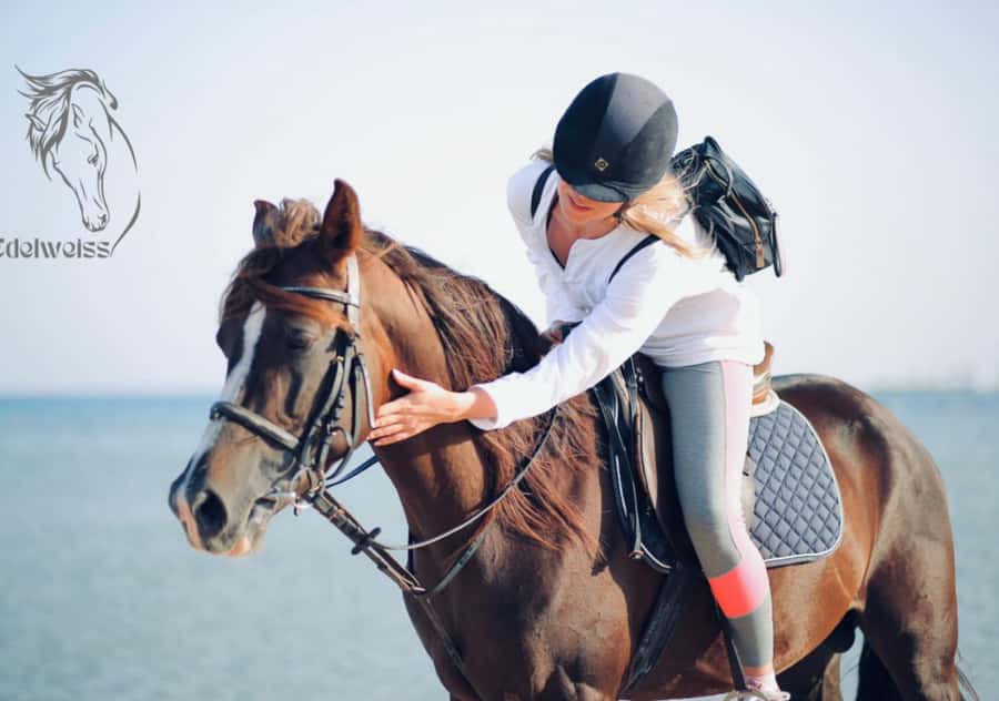 Sharm El Shiekh: Beach and City Desert Horse Riding Tour - The 2 Hours on Horseback: Desert Streets to Red Sea Water