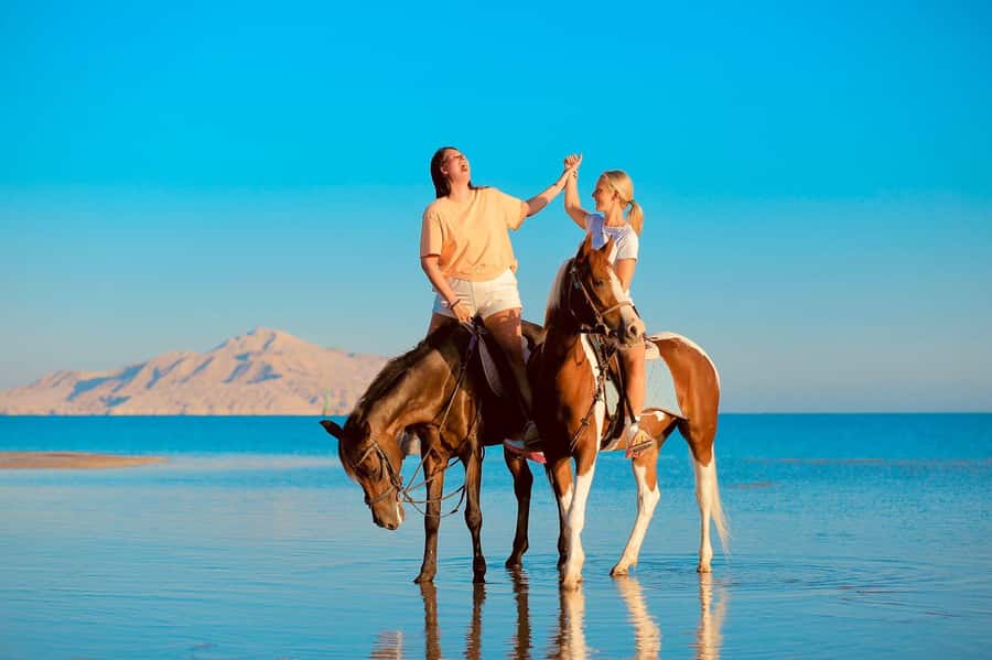 Sharm El Shiekh: Beach and City Desert Horse Riding Tour - Guides Like Mohammed: How Instruction Changes Everything