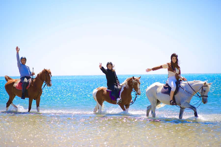 Sharm El Shiekh: Beach and City Desert Horse Riding Tour - Sunrise, Morning, or Sunset: Pick the Right Light