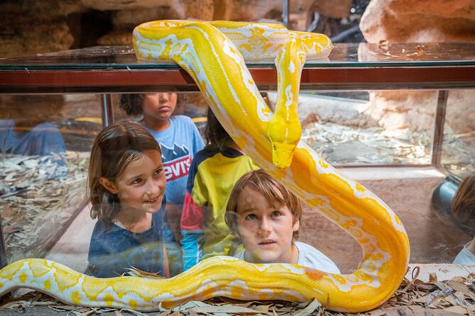Skip the Line Ticket to Crocoparc with Optional Transfert - Timing and pacing: how to use 1–3 hours well