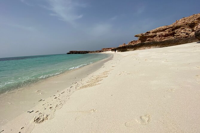 Snorkeling at Dimaniyat Islands and Dolphin Watching - Price and value: what your $87 actually buys