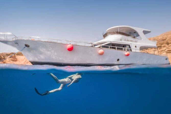 Snorkeling Day Trip to White Island and Ras Mohamed from Sharm - Who this tour fits best (and who should choose something else)