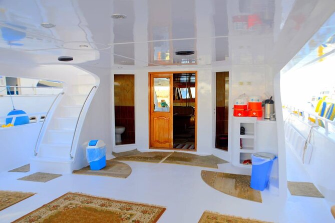 Snorkeling Day Trip To White Island And Ras Mohammed By VIP Boat - Key Highlights You’ll Actually Care About