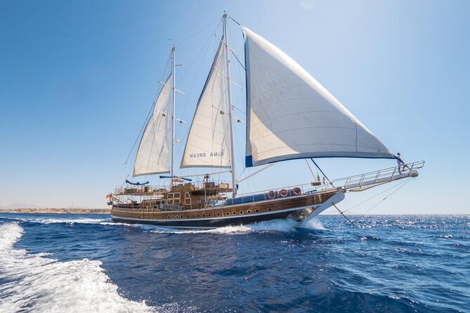 Snorkeling trip to Ras Mohamed & The White Island aboard Luxury Yacht - Who should book this Ras Mohammed and White Island yacht trip?