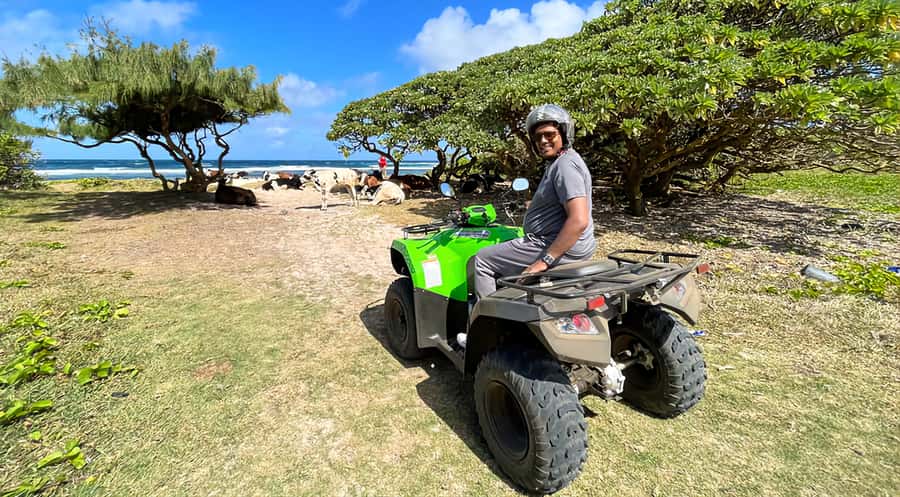 South of Mauritius: Quad Bike Tour - Royal Palm Forest and Pointe Vacoas: shade, dirt roads, and a change of pace